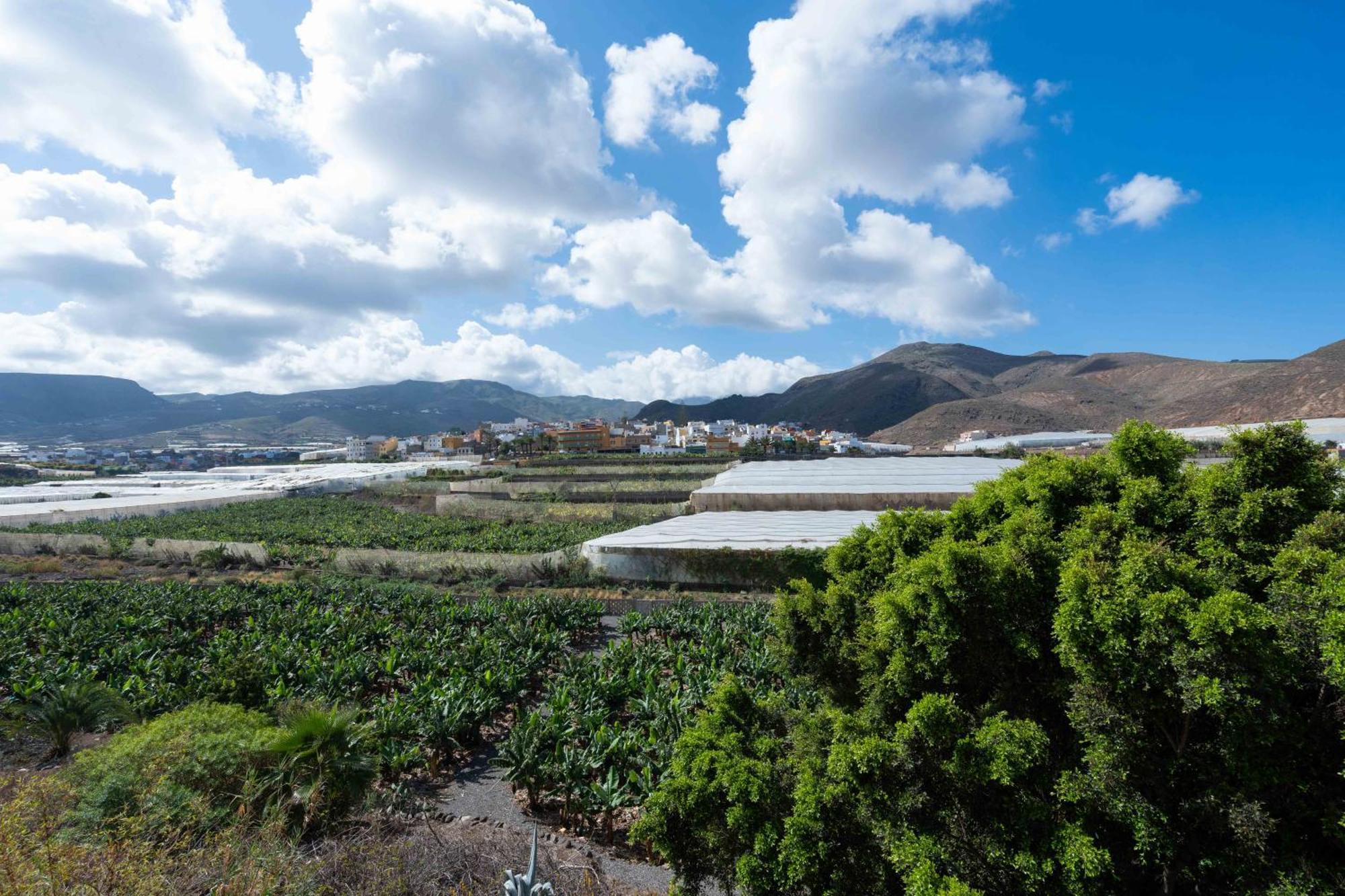 Las Fajanas De Galdar Las Palmas de Gran Canaria Ngoại thất bức ảnh